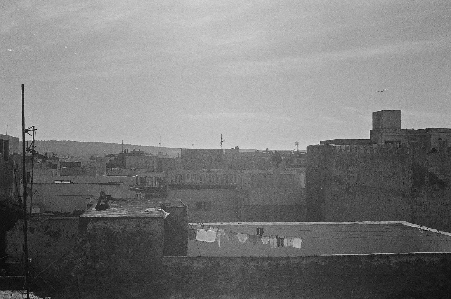 fotografies